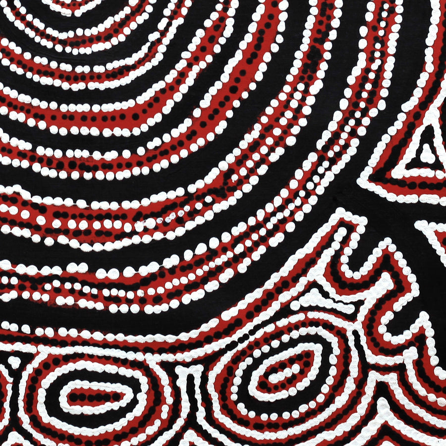 Aboriginal Artwork by Vanetta Nampijinpa Hudson, Pikilyi Jukurrpa (Vaughan Springs Dreaming), 61x61cm