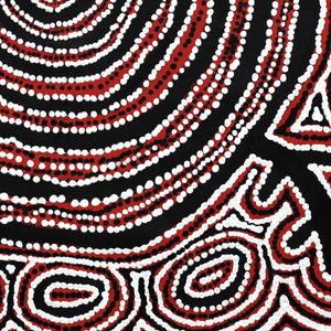Aboriginal Artwork by Vanetta Nampijinpa Hudson, Pikilyi Jukurrpa (Vaughan Springs Dreaming), 61x61cm - ART ARK®
