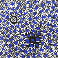 Aboriginal Artwork by Verona Nungarrayi Jurrah, Ngatijirri Jukurrpa (Budgerigar Dreaming), 30x30cm