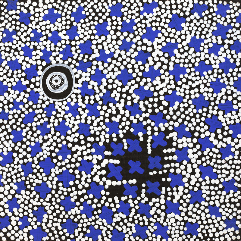 Aboriginal Artwork by Verona Nungarrayi Jurrah, Ngatijirri Jukurrpa (Budgerigar Dreaming), 30x30cm