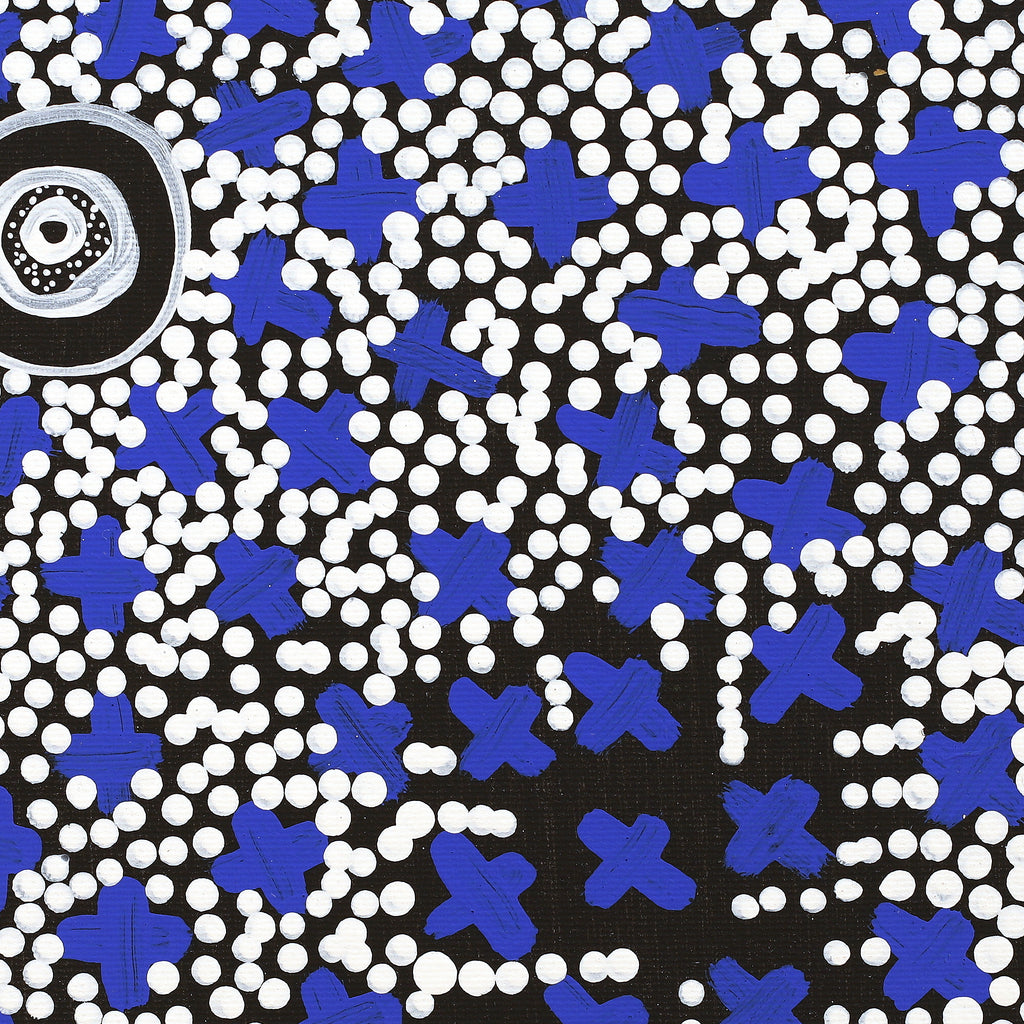 Aboriginal Artwork by Verona Nungarrayi Jurrah, Ngatijirri Jukurrpa (Budgerigar Dreaming), 30x30cm