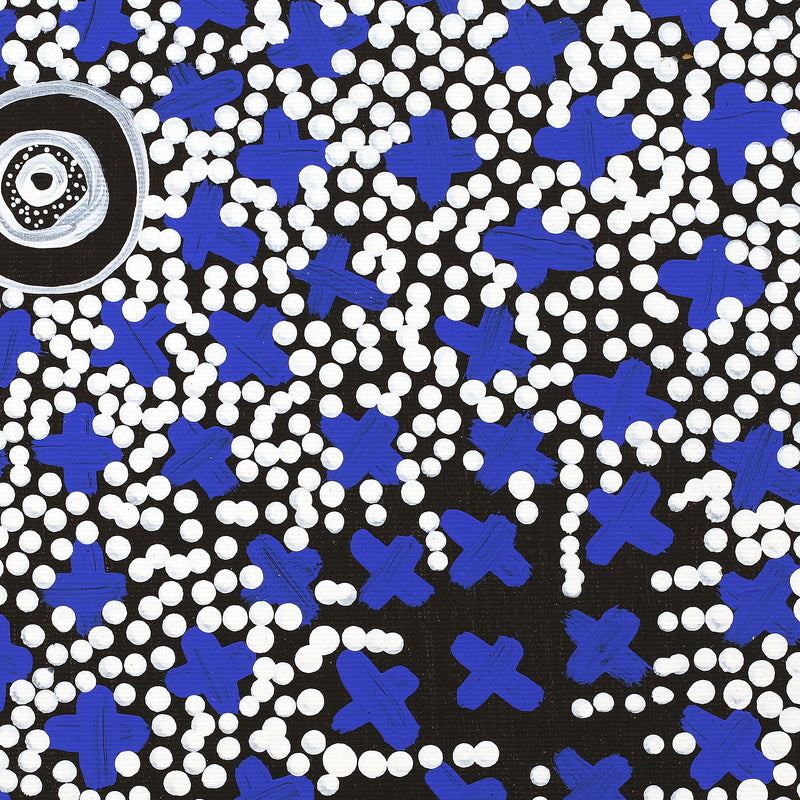 Aboriginal Artwork by Verona Nungarrayi Jurrah, Ngatijirri Jukurrpa (Budgerigar Dreaming), 30x30cm