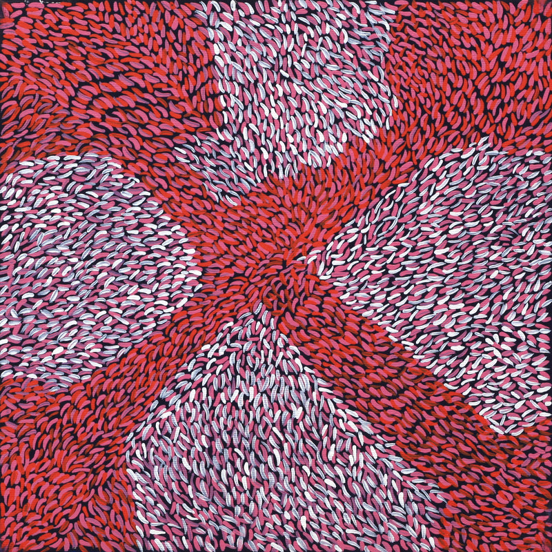 Aboriginal Artwork by Virgillia Multa, Bush flowers and seeds, 30x30cm