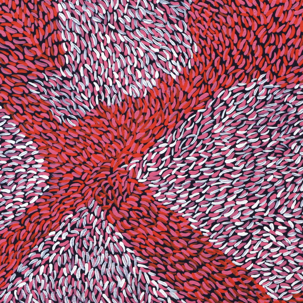 Aboriginal Artwork by Virgillia Multa, Bush flowers and seeds, 30x30cm - ART ARK®