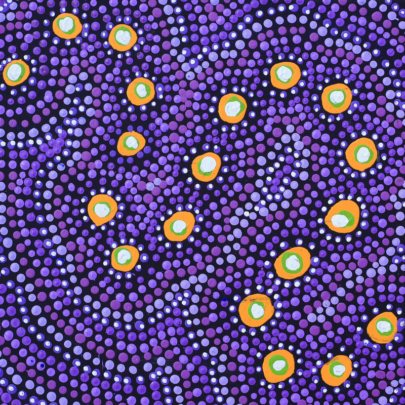 Aboriginal Artwork by Vina Nangala Gallagher, Ngapa Jukurrpa (Water Dreaming) - Mikanji, 30x30cm