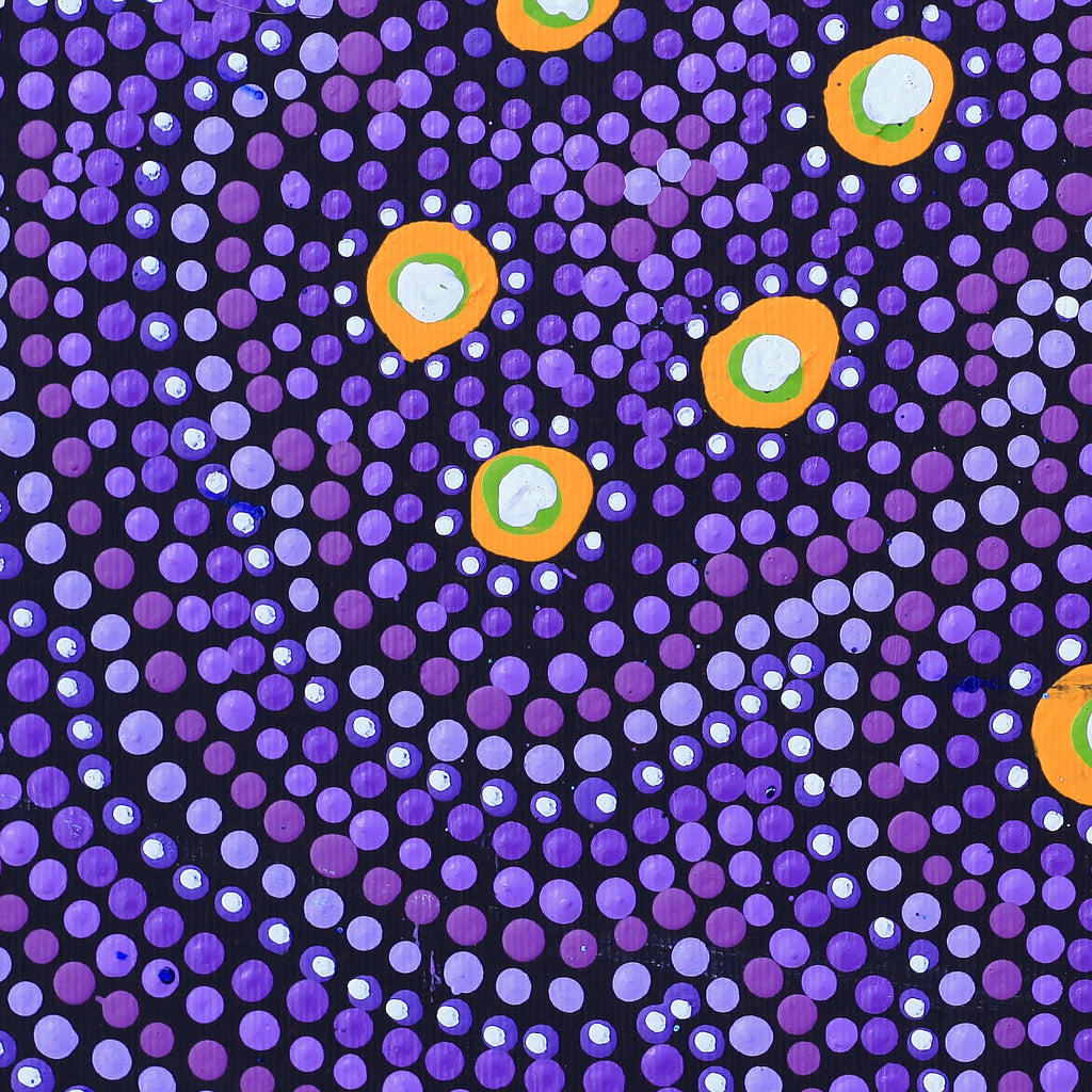 Aboriginal Artwork by Vina Nangala Gallagher, Ngapa Jukurrpa (Water Dreaming) - Mikanji, 30x30cm