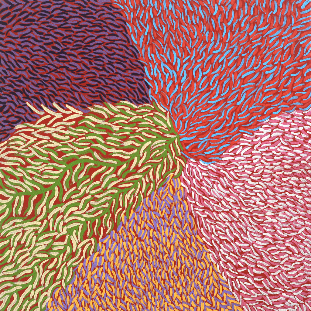 Aboriginal Artwork by Virgillia Multa, Bushflowers and Seeds, 30x30cm