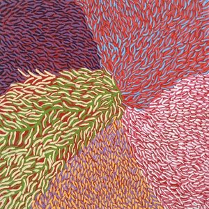Aboriginal Artwork by Virgillia Multa, Bushflowers and Seeds, 30x30cm - ART ARK®