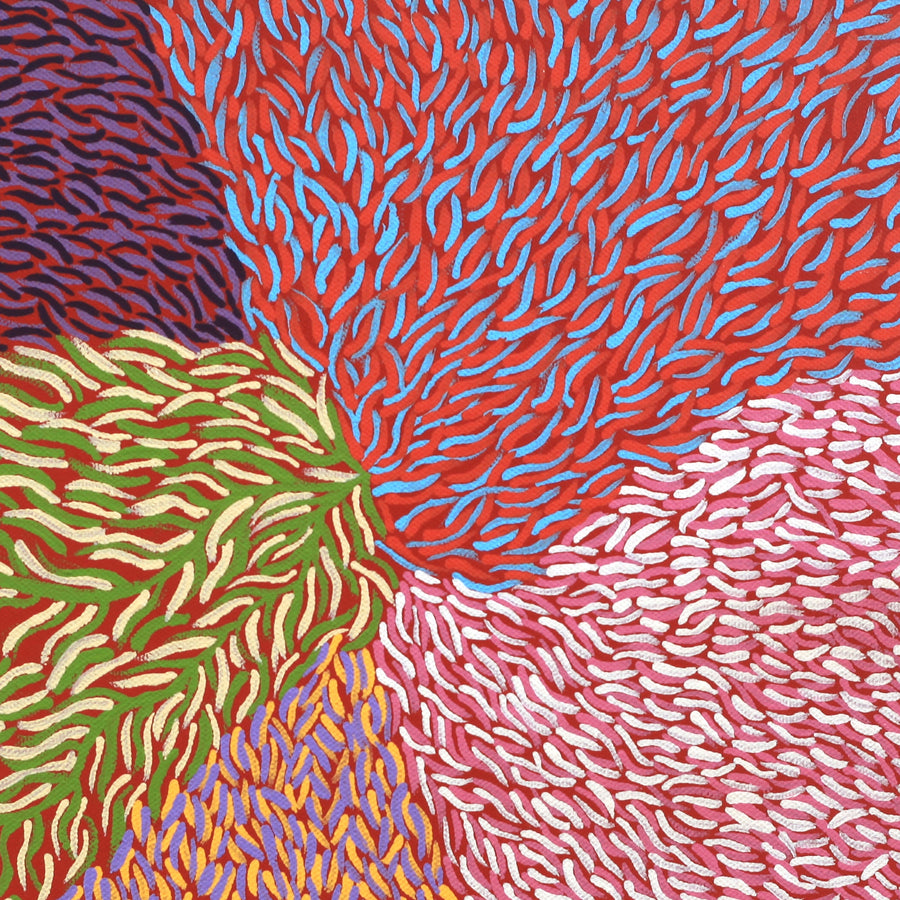 Aboriginal Artwork by Virgillia Multa, Bushflowers and Seeds, 30x30cm