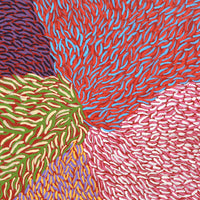 Aboriginal Artwork by Virgillia Multa, Bushflowers and Seeds, 30x30cm