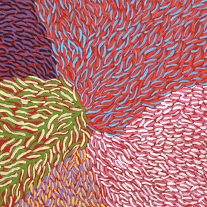 Aboriginal Artwork by Virgillia Multa, Bushflowers and Seeds, 30x30cm - ART ARK®
