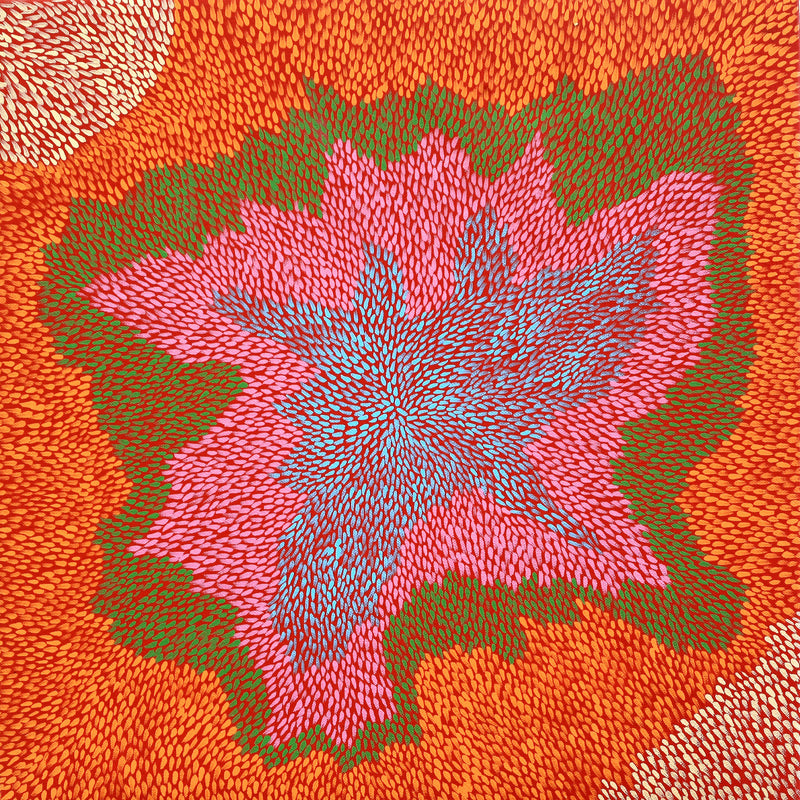 Aboriginal Artwork by Virgillia Multa, Bush flowers and seeds, 40x40cm