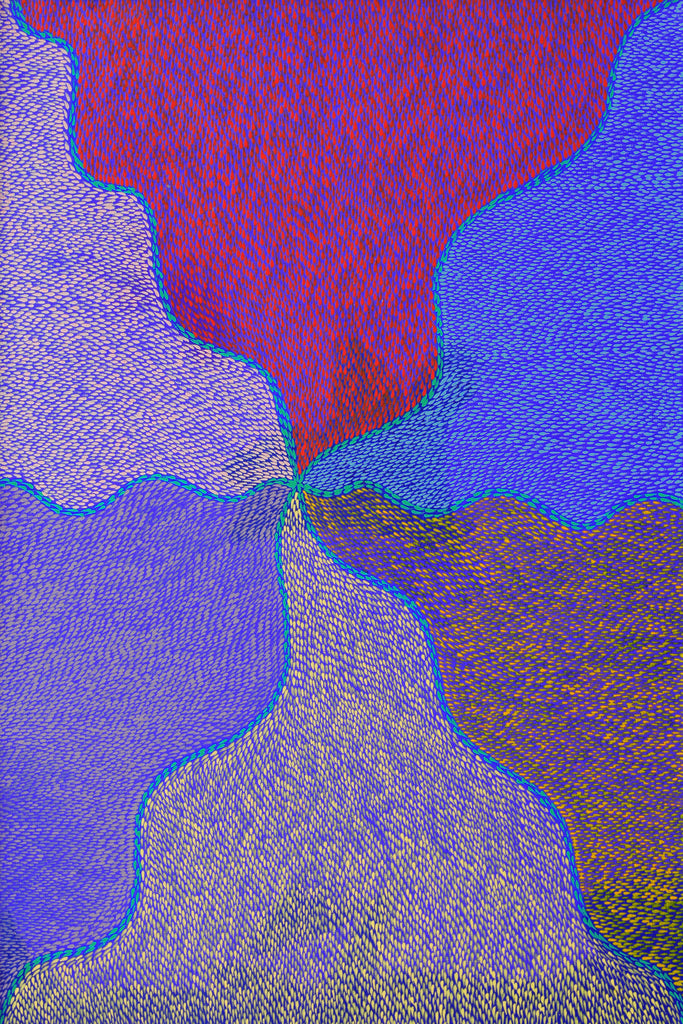 Aboriginal Artwork by Virgillia Multa, Bush flowers and seeds, 75x50cm