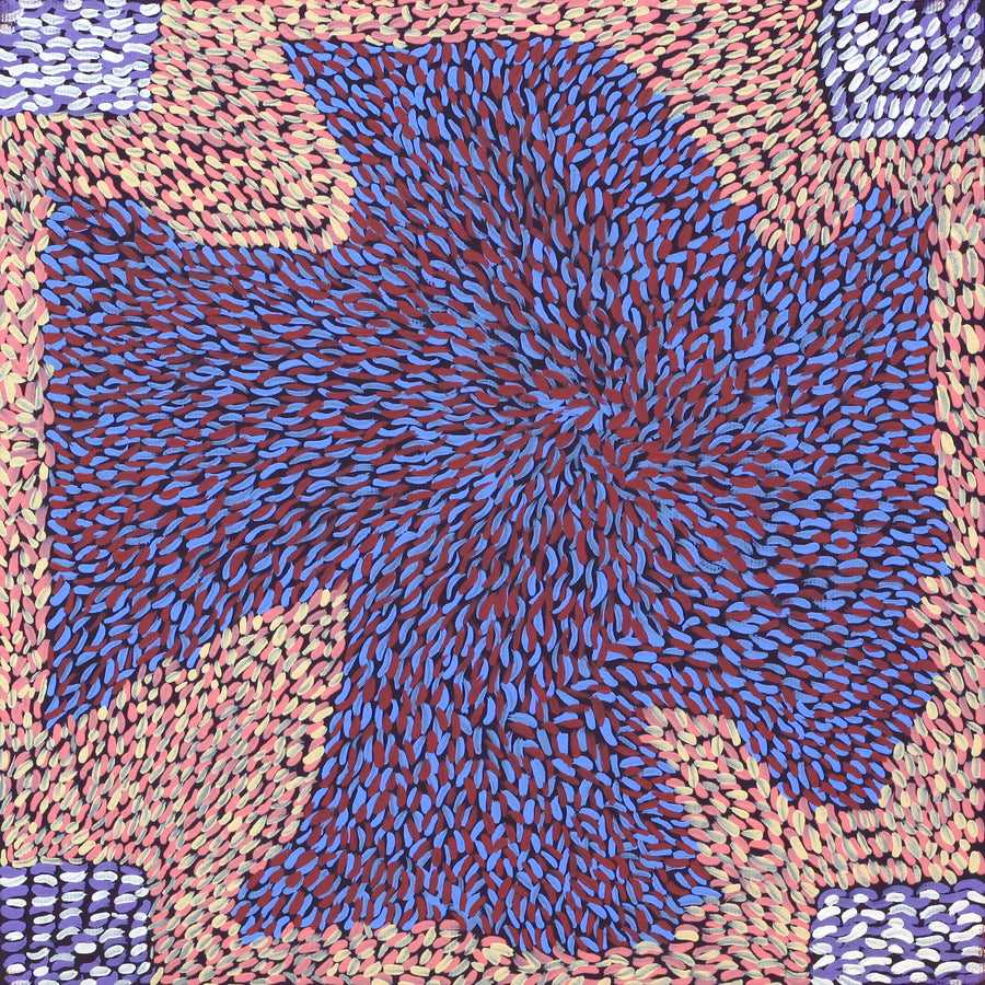 Aboriginal Artwork by Virgillia Multa, Bush flowers and seeds, 30x30cm