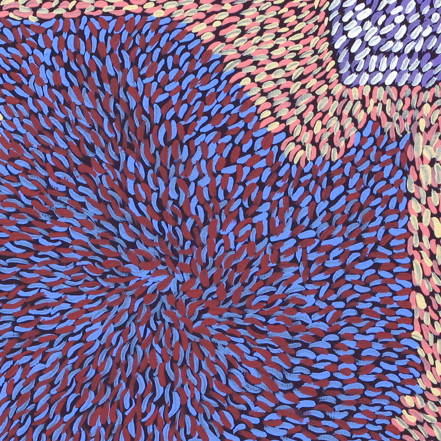 Aboriginal Artwork by Virgillia Multa, Bush flowers and seeds, 30x30cm