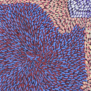 Aboriginal Art by Virgillia Multa, Bush flowers and seeds, 30x30cm - ART ARK®