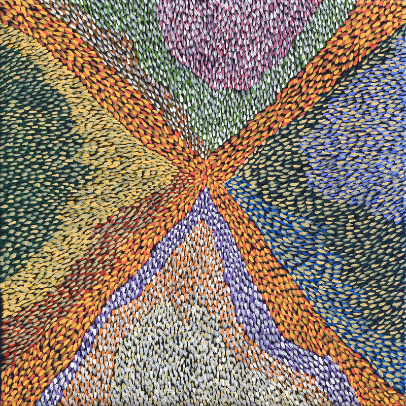 Aboriginal Artwork by Virgillia Multa, Bushflowers and Seeds, 30x30cm