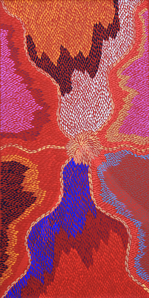 Aboriginal Artwork by Virgillia Multa, Bush flowers and seeds, 61x30cm