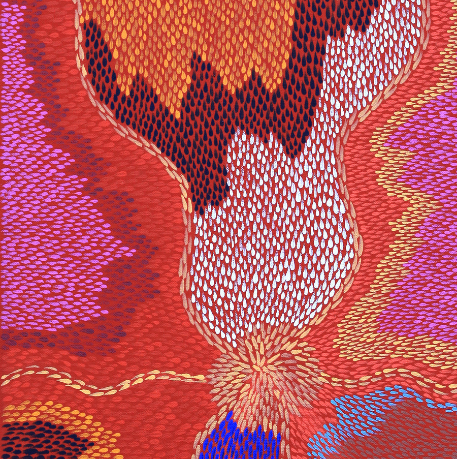 Aboriginal Artwork by Virgillia Multa, Bush flowers and seeds, 61x30cm