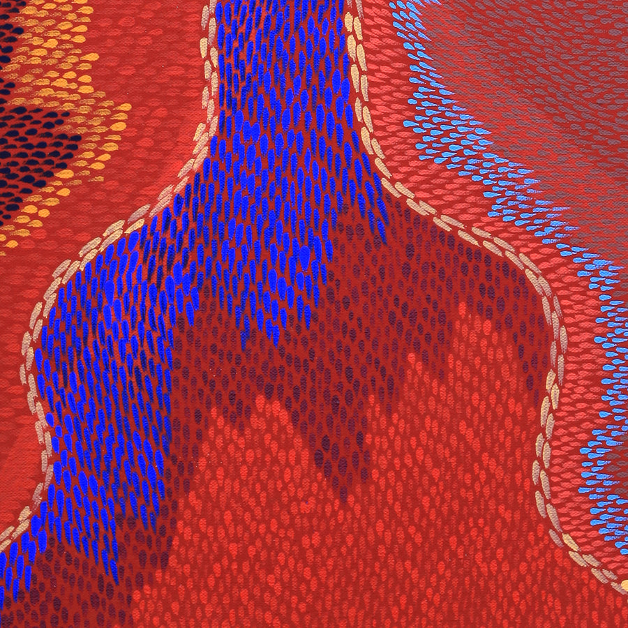 Aboriginal Artwork by Virgillia Multa, Bush flowers and seeds, 61x30cm