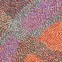 Aboriginal Artwork by Virgillia Multa, Bushflowers and Seeds, 30x30cm