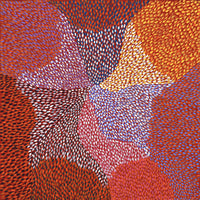 Aboriginal Artwork by Virgillia Multa, Bush flowers and seeds, 30x30cm