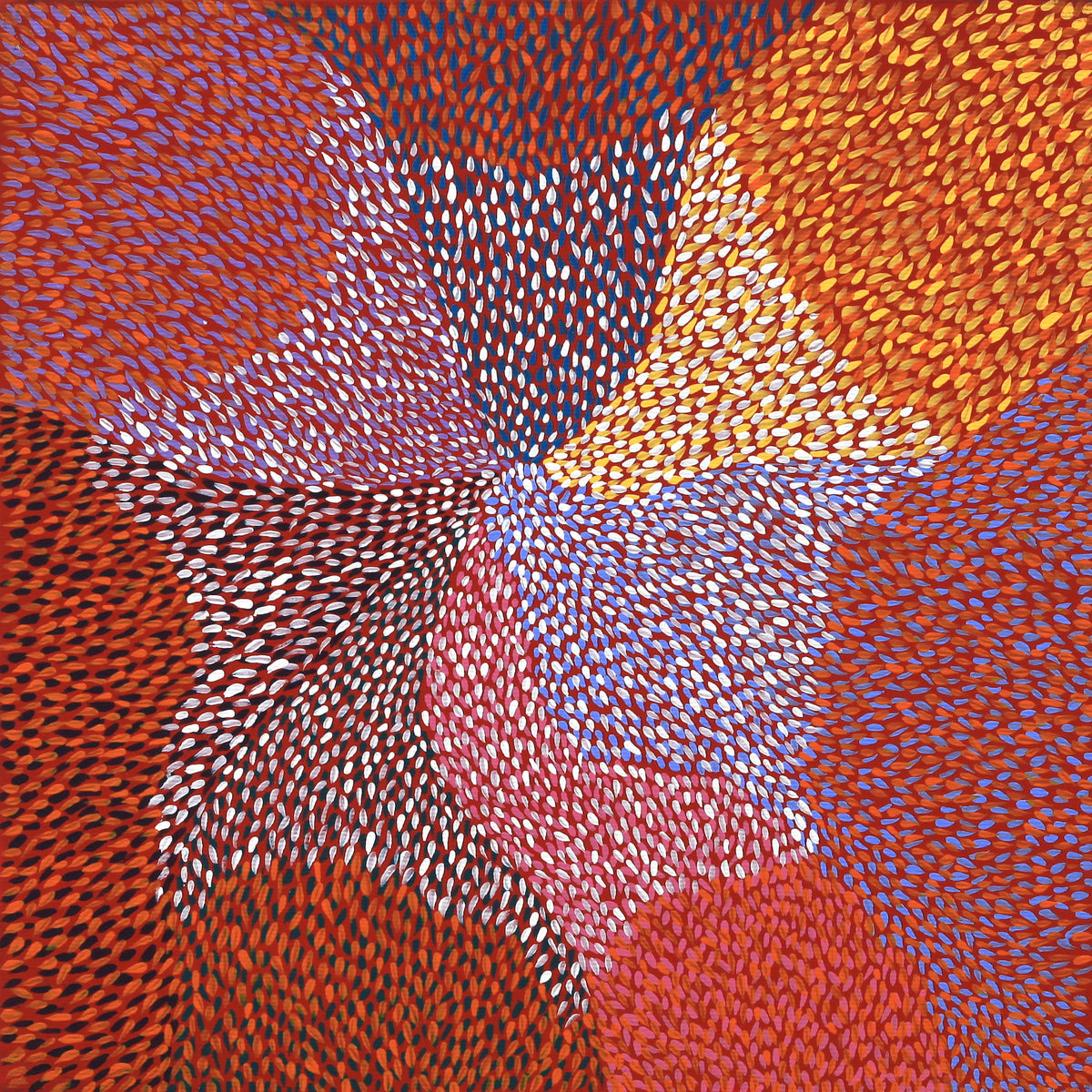 Aboriginal Art by Virgillia Multa, Bush flowers and seeds, 30x30cm - ART ARK®