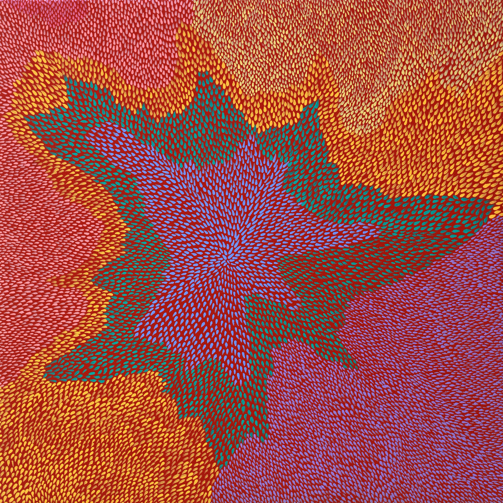 Aboriginal Artwork by Virgillia Multa, Bush flowers and seeds, 60x60cm - ART ARK®
