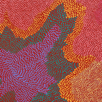 Aboriginal Artwork by Virgillia Multa, Bush flowers and seeds, 60x60cm