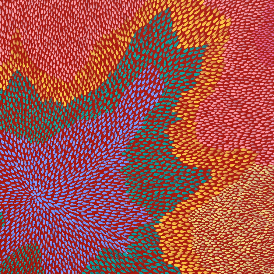 Aboriginal Artwork by Virgillia Multa, Bush flowers and seeds, 60x60cm