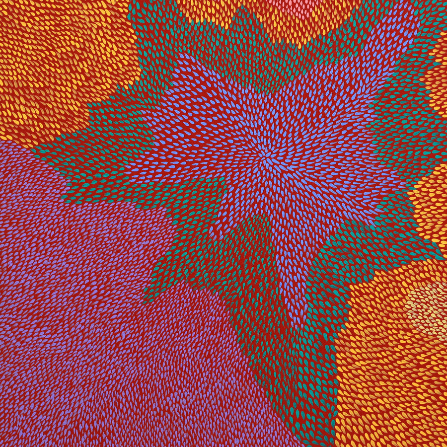 Aboriginal Artwork by Virgillia Multa, Bush flowers and seeds, 60x60cm