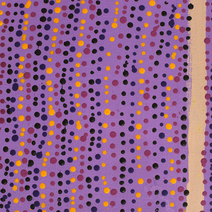 Aboriginal Artwork by Virginia Napaljarri Simms, Mina Mina Jukurrpa (Mina Mina Dreaming), 122x61cm