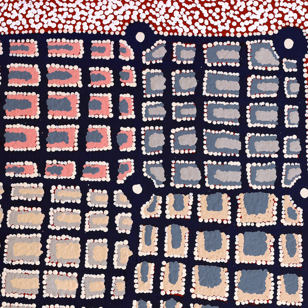 Aboriginal Artwork by Virginia Napaljarri Sims, Mina Mina Jukurrpa (Mina Mina Dreaming) - Ngalyipi, 76x46cm