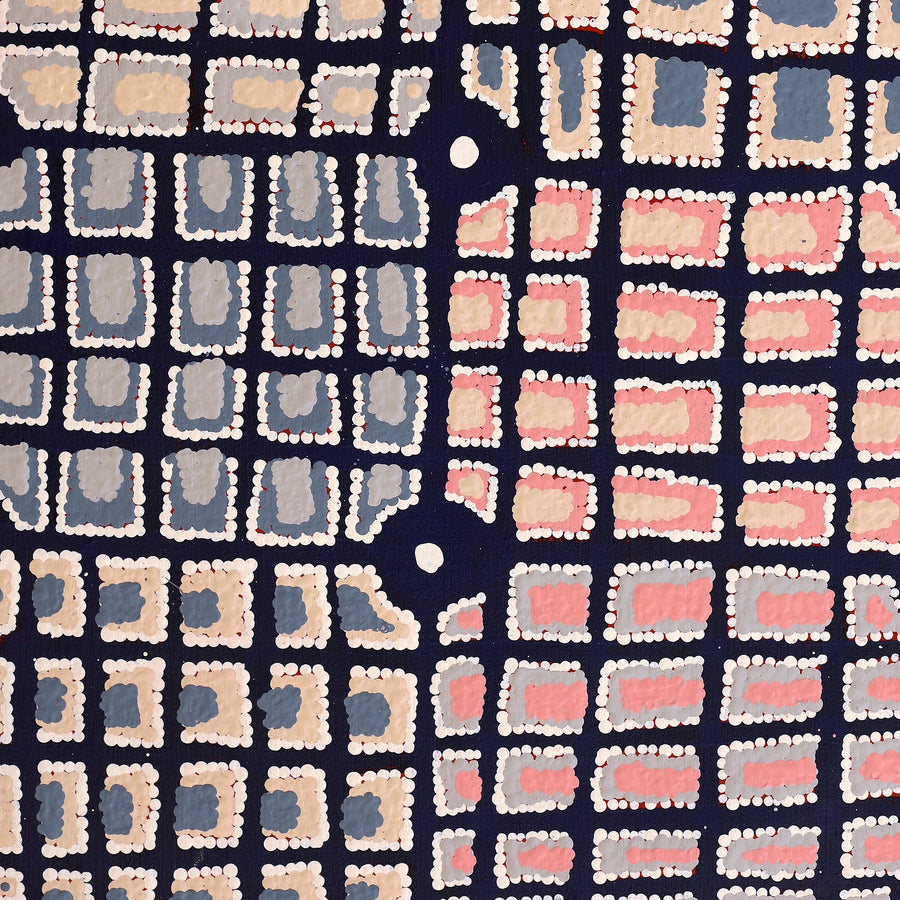Aboriginal Artwork by Virginia Napaljarri Sims, Mina Mina Jukurrpa (Mina Mina Dreaming) - Ngalyipi, 76x46cm