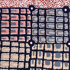 Aboriginal Artwork by Virginia Napaljarri Sims, Mina Mina Jukurrpa (Mina Mina Dreaming) - Ngalyipi, 76x46cm - ART ARK®