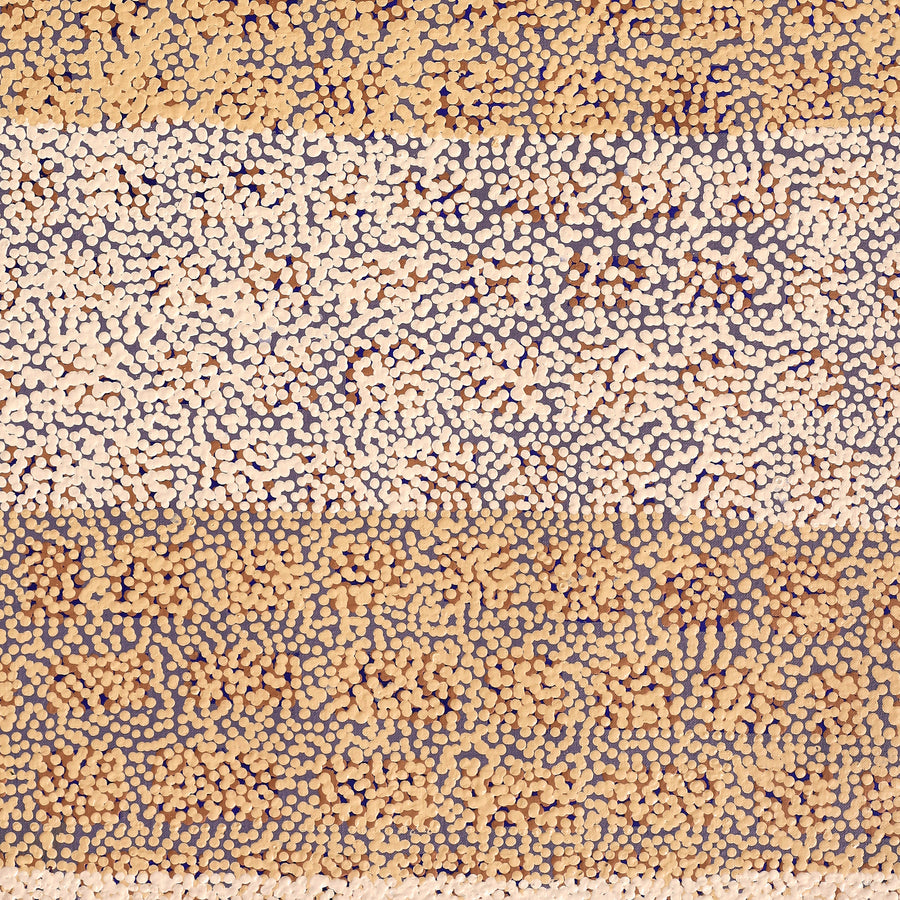 Aboriginal Artwork by Virginia Napaljarri Simms, Mina Mina Jukurrpa (Mina Mina Dreaming), 91x46cm