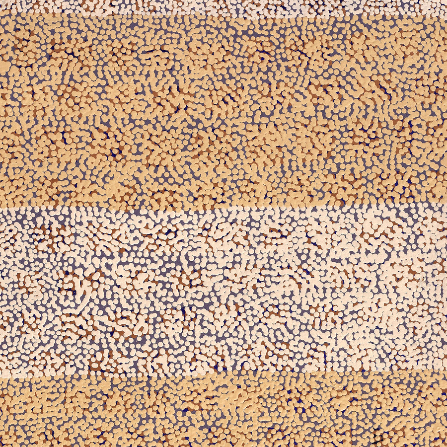 Aboriginal Artwork by Virginia Napaljarri Simms, Mina Mina Jukurrpa (Mina Mina Dreaming), 91x46cm