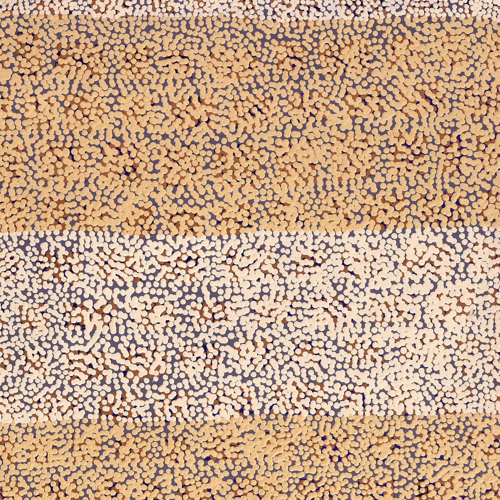 Aboriginal Art by Virginia Napaljarri Simms, Mina Mina Jukurrpa (Mina Mina Dreaming), 91x46cm - ART ARK®