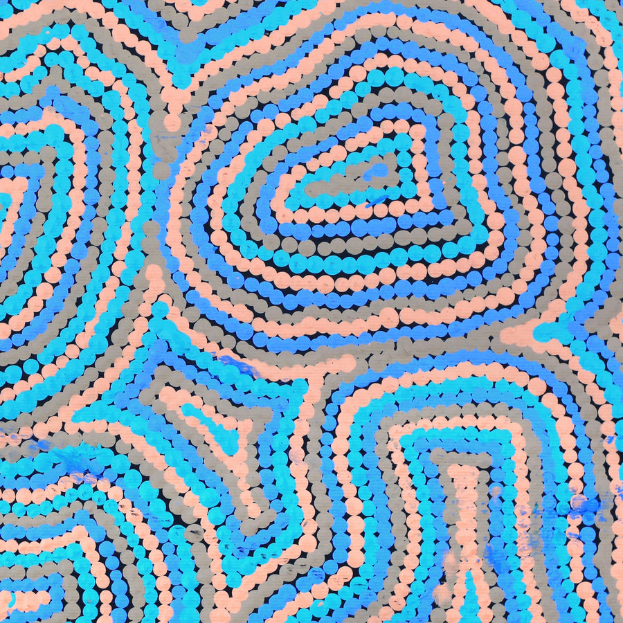Aboriginal Artwork by Virginia Napaljarri Sims, Mina Mina Jukurrpa - Ngalyipi, 30x30cm