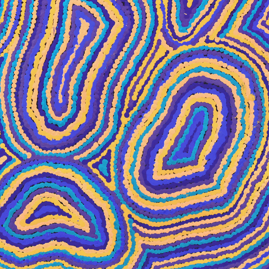 Aboriginal Artwork by Virginia Napaljarri Sims, Mina Mina Jukurrpa - Ngalyipi, 46x46cm
