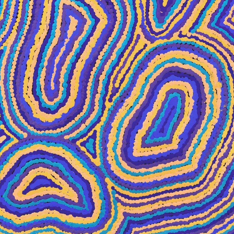Aboriginal Artwork by Virginia Napaljarri Sims, Mina Mina Jukurrpa - Ngalyipi, 46x46cm