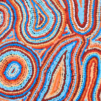 Aboriginal Artwork by Virginia Napaljarri Sims, Mina Mina Jukurrpa - Ngalyipi, 46x46cm
