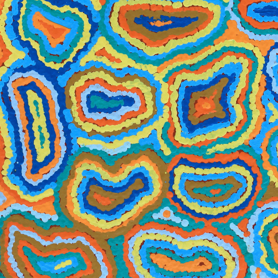 Aboriginal Artwork by Virginia Napaljarri Sims, Mina Mina Jukurrpa - Ngalyipi, 61x30cm