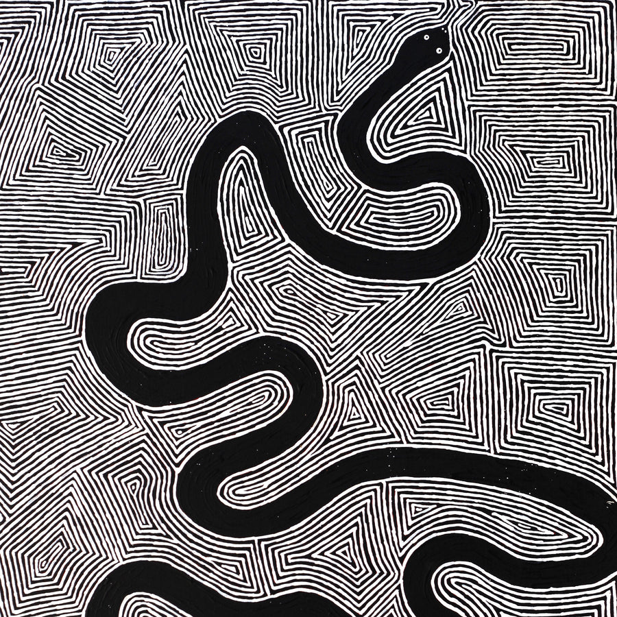 Aboriginal Artwork by Walter Jangala Brown, Warna Jukurrpa (Snake Dreaming), 107x76cm