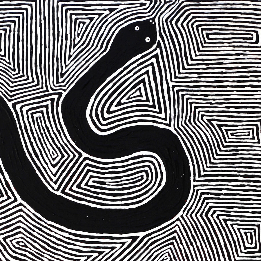Aboriginal Artwork by Walter Jangala Brown, Warna Jukurrpa (Snake Dreaming), 107x76cm