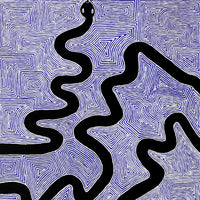Aboriginal Artwork by Walter Jangala Brown, Warna Jukurrpa (Snake Dreaming), 122x61cm