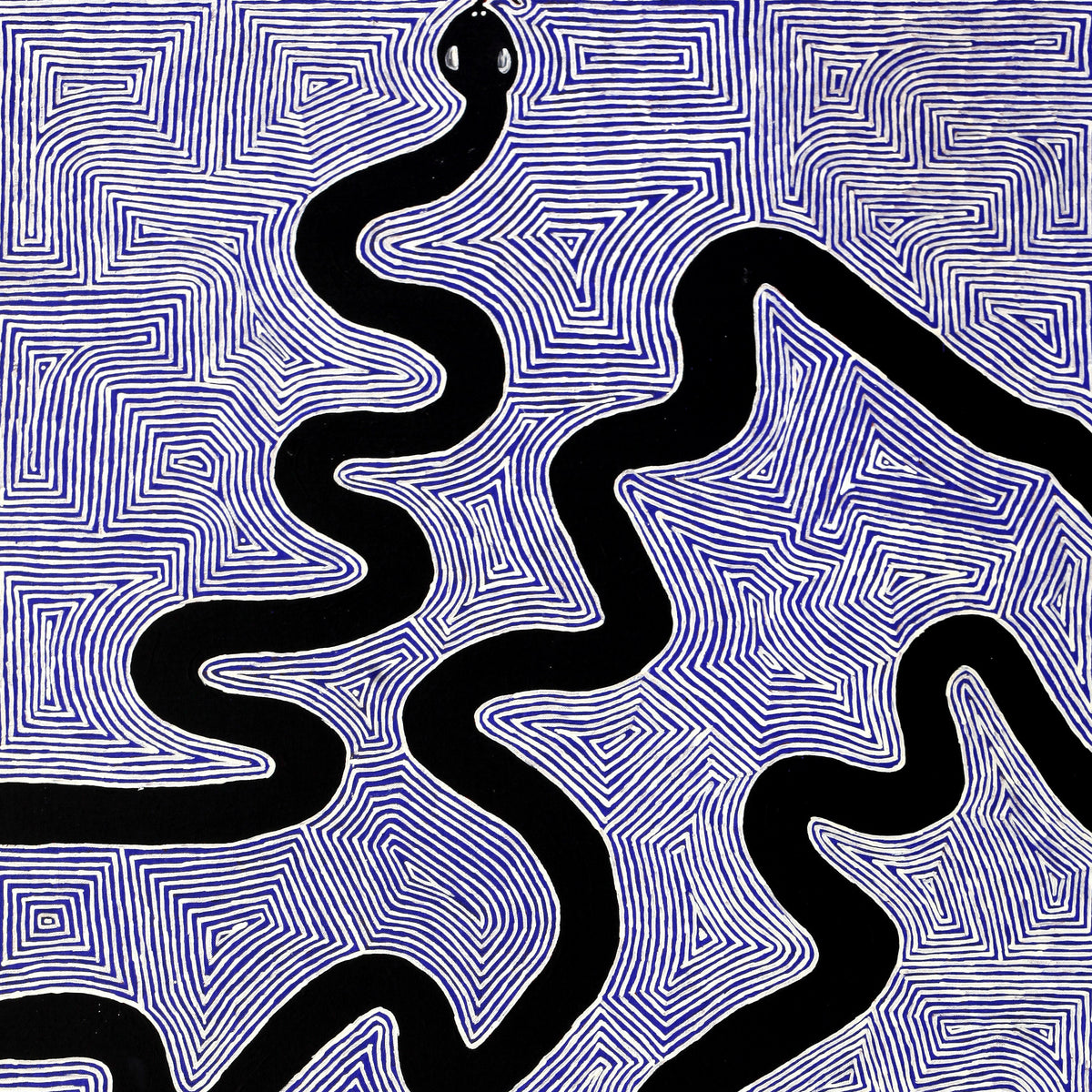 Aboriginal Artwork by Walter Jangala Brown, Warna Jukurrpa (Snake Dreaming), 122x61cm