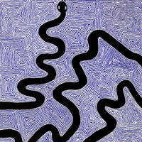 Aboriginal Artwork by Walter Jangala Brown, Warna Jukurrpa (Snake Dreaming), 122x61cm