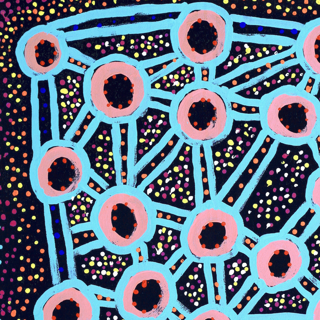 Aboriginal Artwork by Watson Jangala Robertson, Ngapa Jukurrpa (Water Dreaming) - Puyurru, 61x46cm