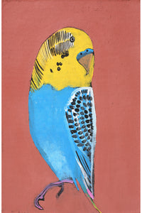 Aboriginal Artwork by Wilma Napangardi Poulson, Birds that live around Yuendumu, 46x30cm